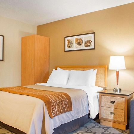 Comfort Inn Brantford Ngoại thất bức ảnh