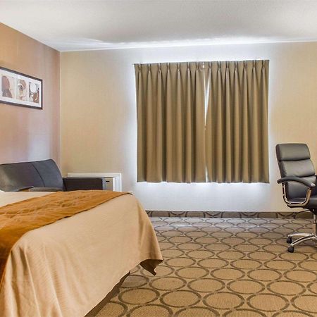 Comfort Inn Brantford Ngoại thất bức ảnh
