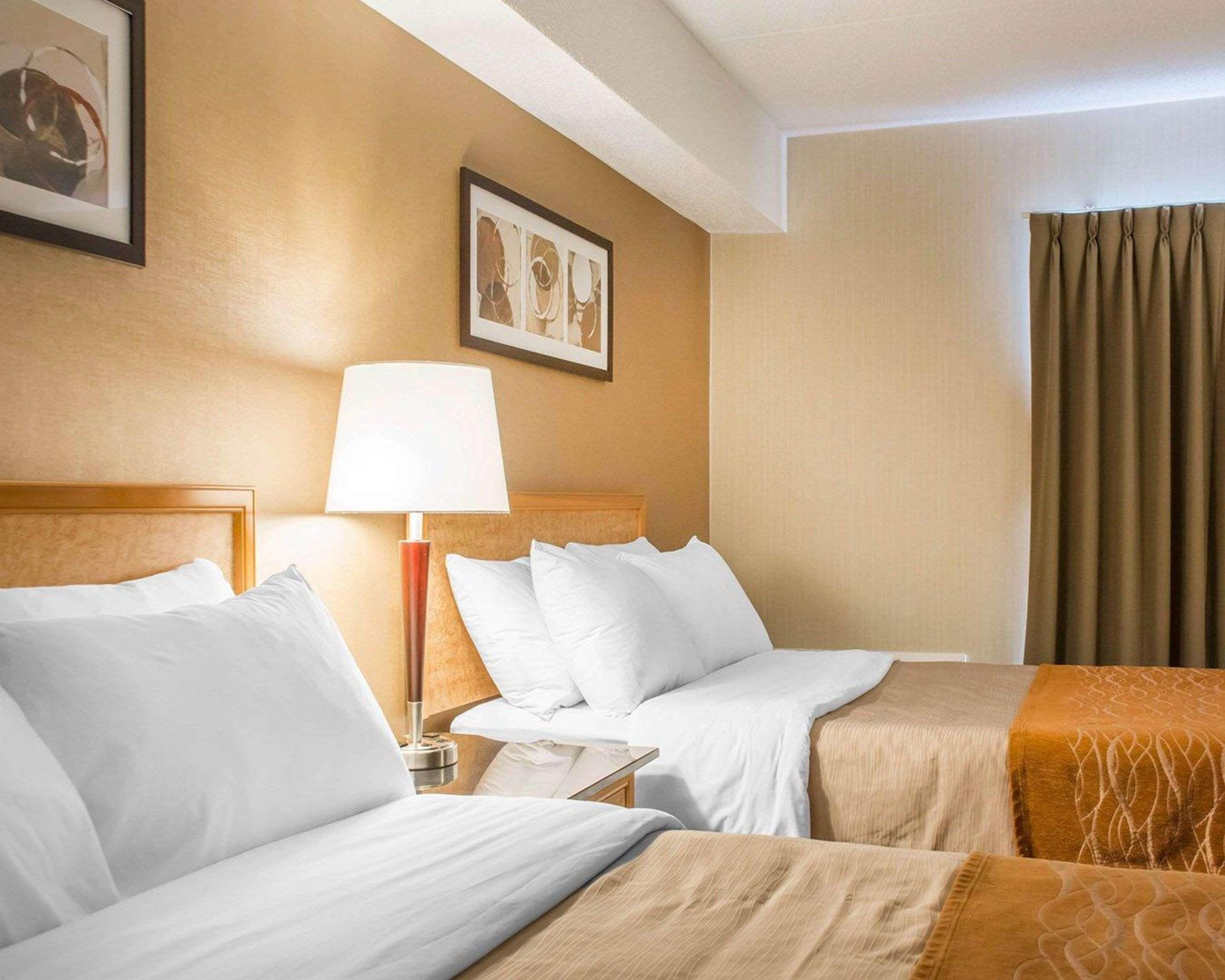 Comfort Inn Brantford Ngoại thất bức ảnh