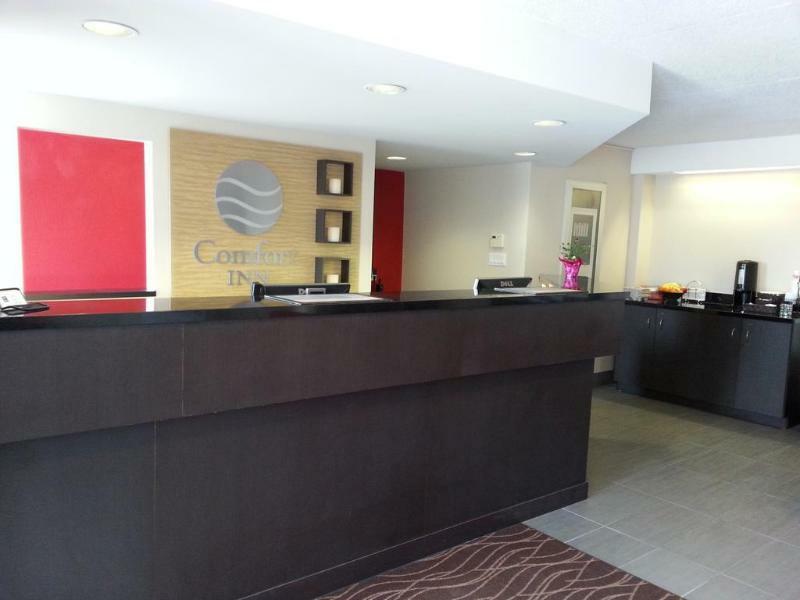 Comfort Inn Brantford Ngoại thất bức ảnh